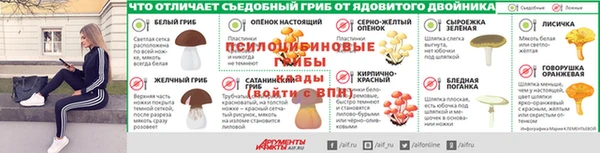 спиды Инта