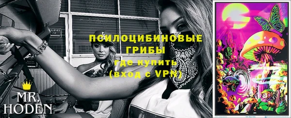 прущая мука Абаза