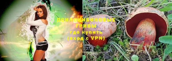 прущая мука Абаза