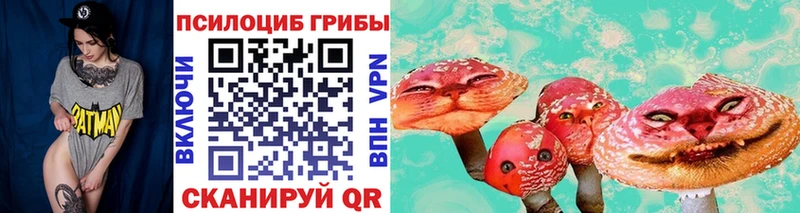 Псилоцибиновые грибы мухоморы  МЕГА сайт  Ак-Довурак 
